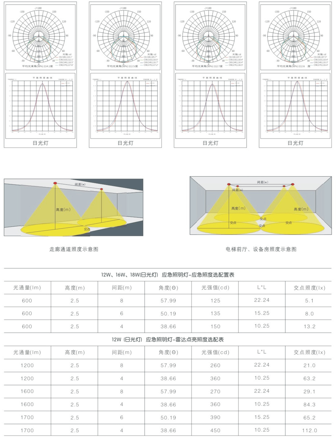 威宣31號(hào)_19.jpg