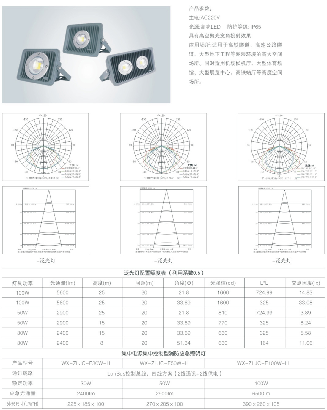 威宣31號_22.jpg